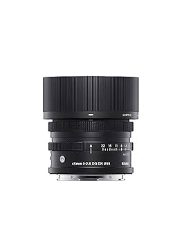 Amazon.com : Sigma 45mm F2.8 Contemporary DG DN Lens for